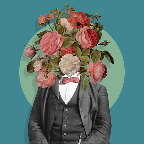 Flowering Gentleman Art Print