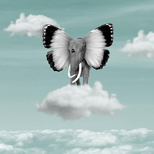 Flying Elephant Dream Art Print