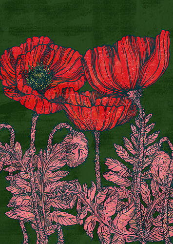 Vibrant Red Poppies Pop art reproduction