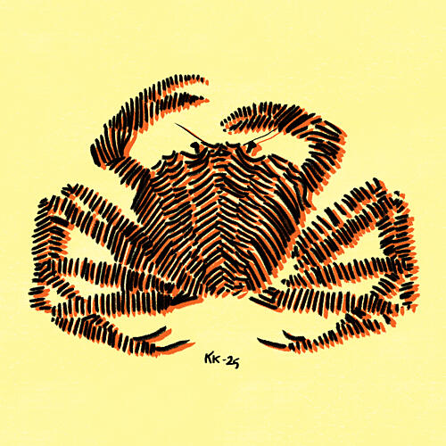 Bold Striped Crab Art Print