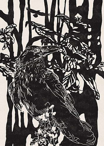 Raven in Dark Woods Art Print