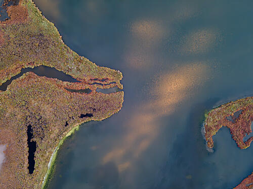 Golden Marshland Aerial Art Print by Anna Kirchner