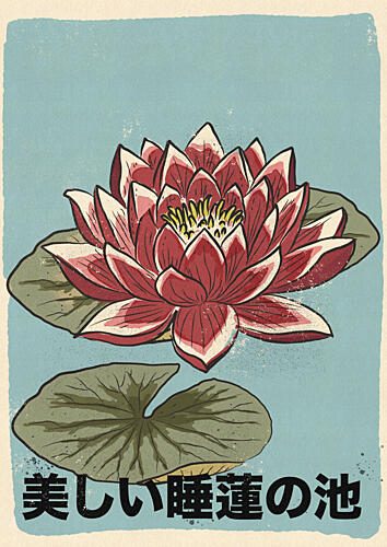 Serene Lotus Bloom Art Print