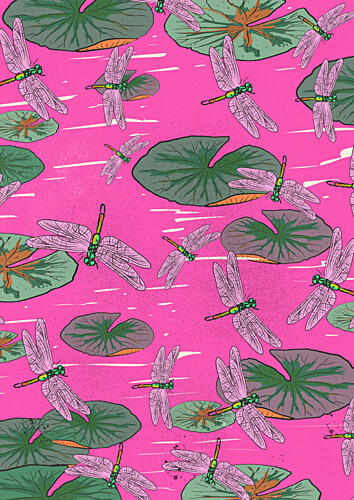 Pink Dragonflies on Water Lilies Art Print