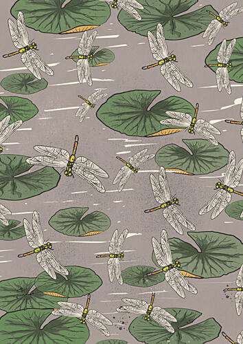 Pond Dragonflies and Lily Pads Art Print