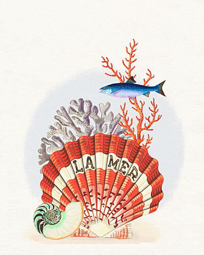 la Mer Marine Treasures Art Print