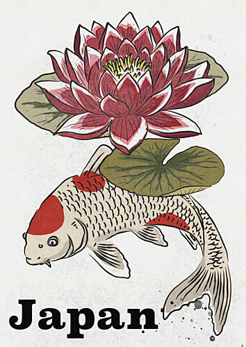 Japanese Koi Lotus Bloom Art Print