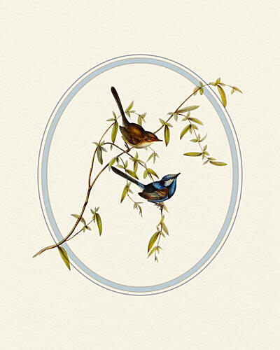 Serene Garden Birds Art Print