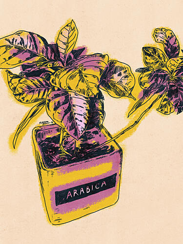 Vibrant Arabica Plant Art Print