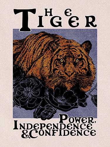Majestic Tiger Gaze Art Print