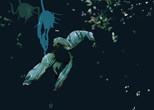 Dark Ethereal Flora Art Print by Miriam Stayte