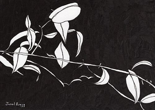 Stark Botanical Silhouette Art Print