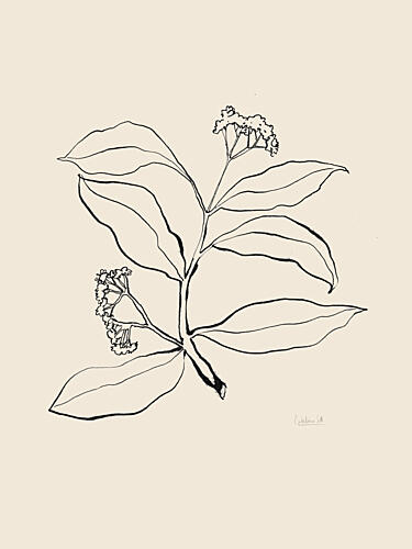 Botanical Line Drawing Art Print