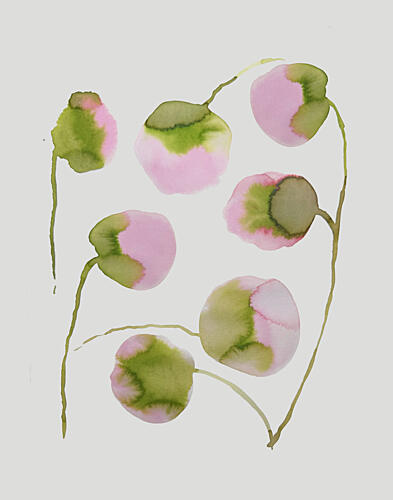 Soft Pink Blossoms Art Print