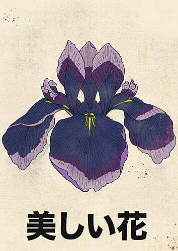 Beautiful Japanese Iris Art Print