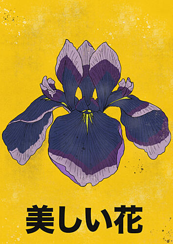 Beautiful Japanese Iris Art Print