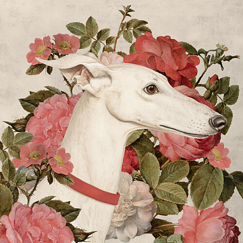 Elegant Greyhound and Roses Art Print