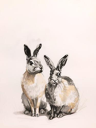 Two Woodland Hares Art Print