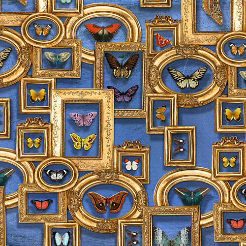 Butterflies in Gold Frames Gold Print