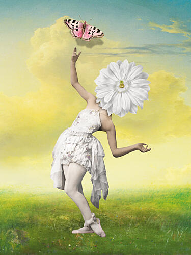 Graceful Flower Butterfly Art Print