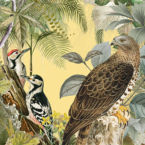 Tropical Jungle Birds Art Print