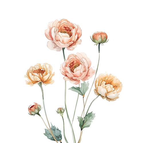 Peach Watercolor Flowers Art Print
