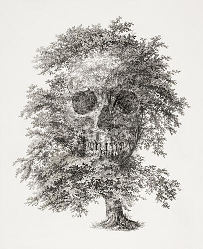 Natures Skull Tree Art Print