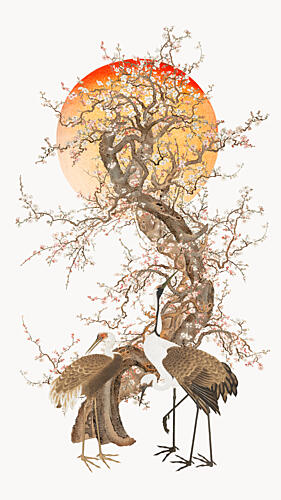 Plum Blossoms and Cranes Art Print