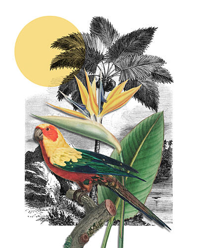 Tropical Parrot Paradise Tropical Print