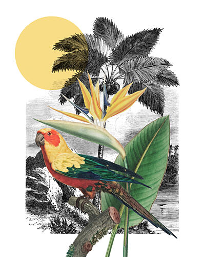 A Tropical Collage Art Print