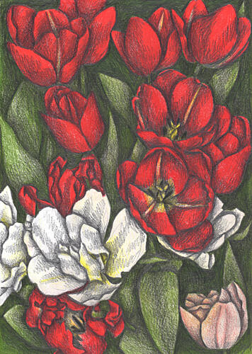 Colorful Garden Tulips Art Print by Cecilia Battaini