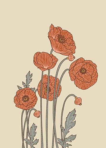Elegant Poppy Blooms Pop art reproduction