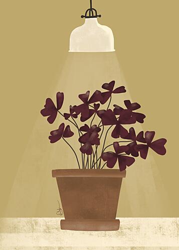 Crimson Clover Glow Art Print by Elsa Natterdal