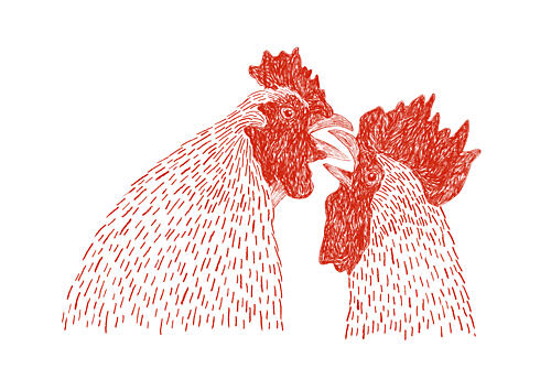 Fighting Roosters Art Print by Martina Scott