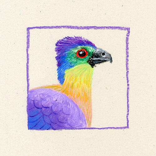 Vibrant Colorful Bird Art Print