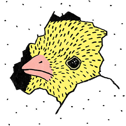 Hatching Yellow Chick Art Print by Martina Scott