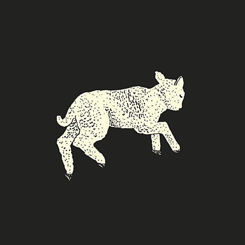 Playful Baby Lamb Art Print