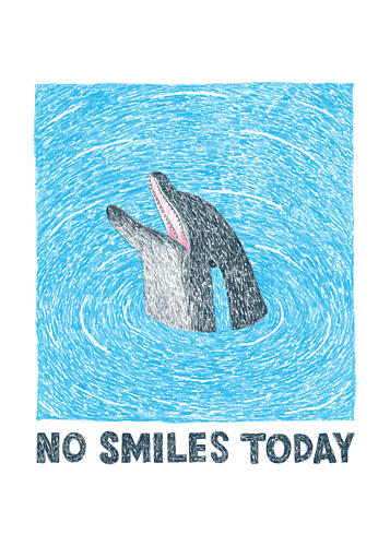 Dolphin No Smiles Today Art Print by Martina Scott