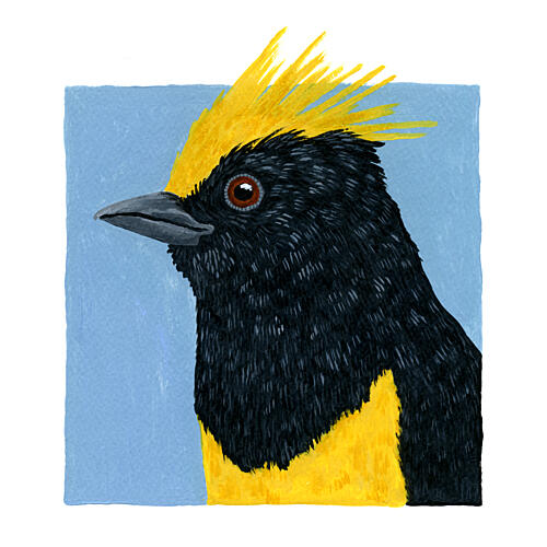 Vibrant Golden Crested Bird Gold Print