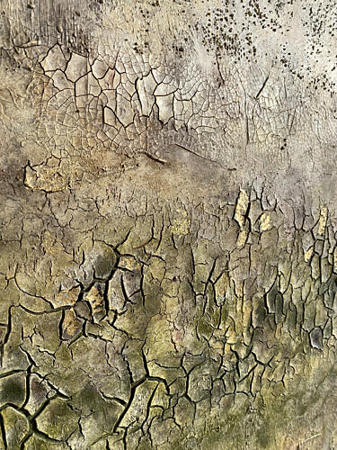 Aged Cracked Surface Art Print by Gabriela Aleksandra Szuba
