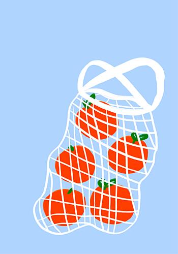 Oranges in Bag Pop art reproduction