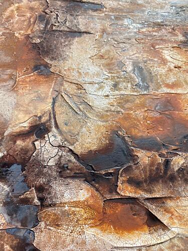 Weathered Organic Textures Art Print by Gabriela Aleksandra Szuba