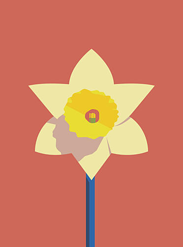 Bold Daffodil Bloom Art Print by Daria Ivanovna