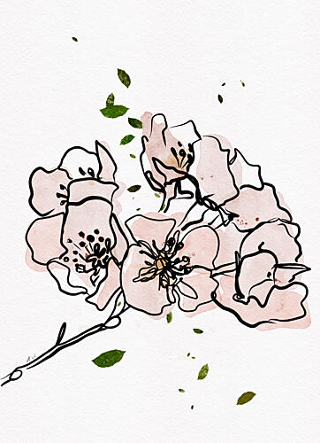 Pink Spring Blossoms Art Print
