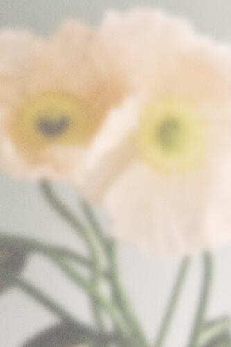 Soft Pastel Flowers Art Print