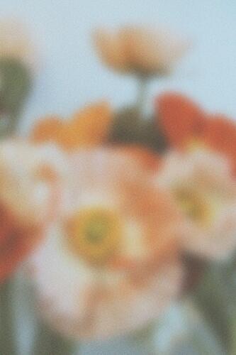 Dreamy Pastel Flowers Art Print