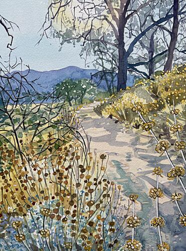 Tranquil Nature Trail Art Print