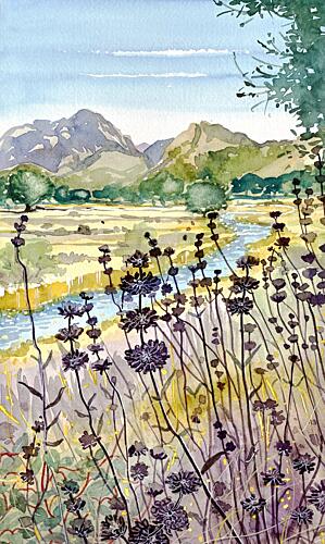 Mountain River Wildflowers Art Print