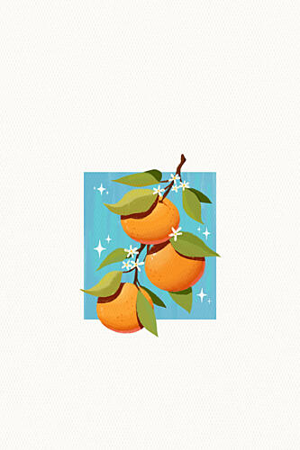 Fresh Orange Branch Art Print