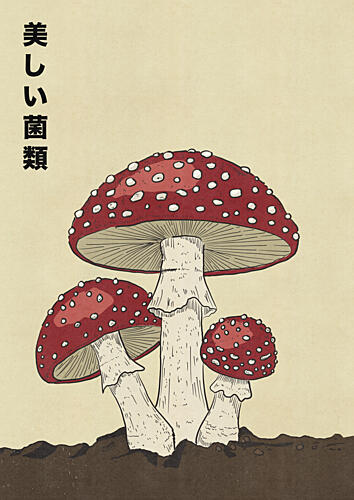 Red Fly Agaric Fungi Art Print